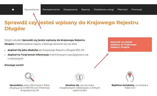 Jak sprawdzić, czy jesteś w KRD? Darmowy poradnik krok po kroku