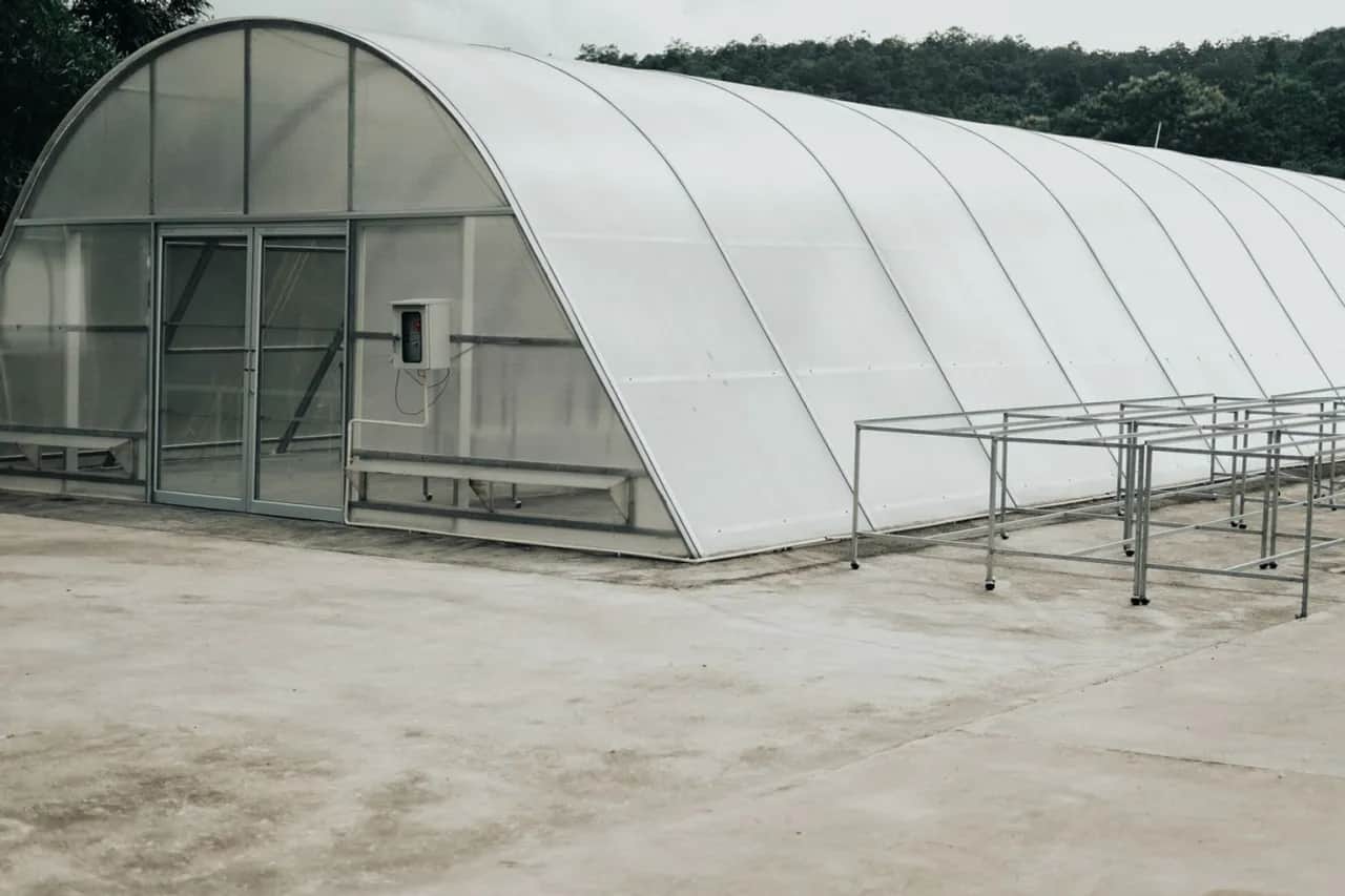 Zarobki z tunelu foliowego: Czy to się opłaca? Sprawdź kalkulacje.